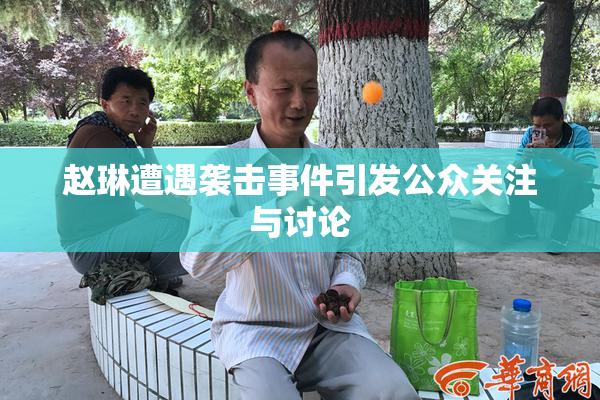 赵琳遭遇袭击事件引发公众关注与讨论