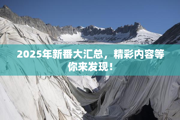 2025年新番大汇总，精彩内容等你来发现！