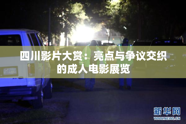 四川影片大赏：亮点与争议交织的成人电影展览