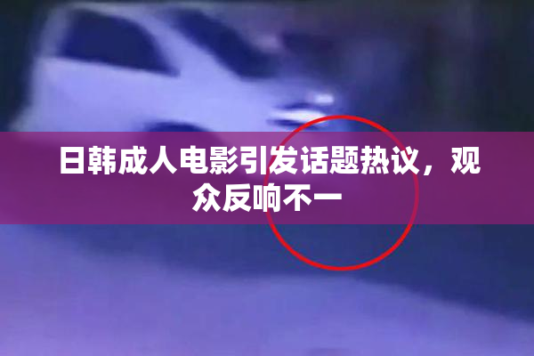 日韩成人电影引发话题热议，观众反响不一