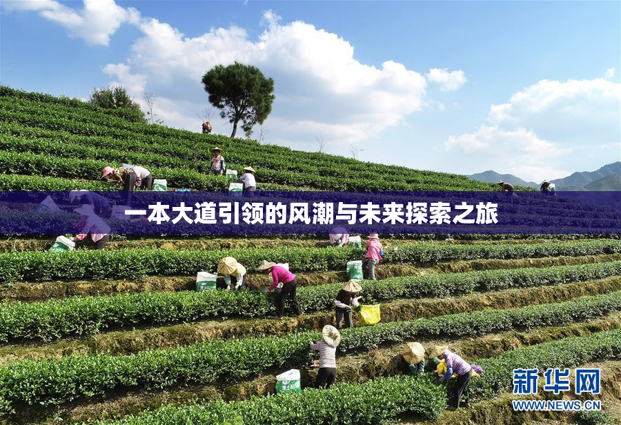 一本大道引领的风潮与未来探索之旅
