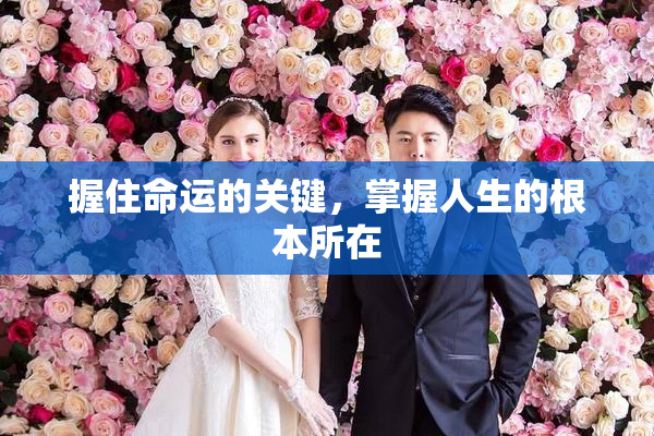 握住命运的关键，掌握人生的根本所在
