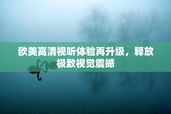 欧美高清视听体验再升级，释放极致视觉震撼