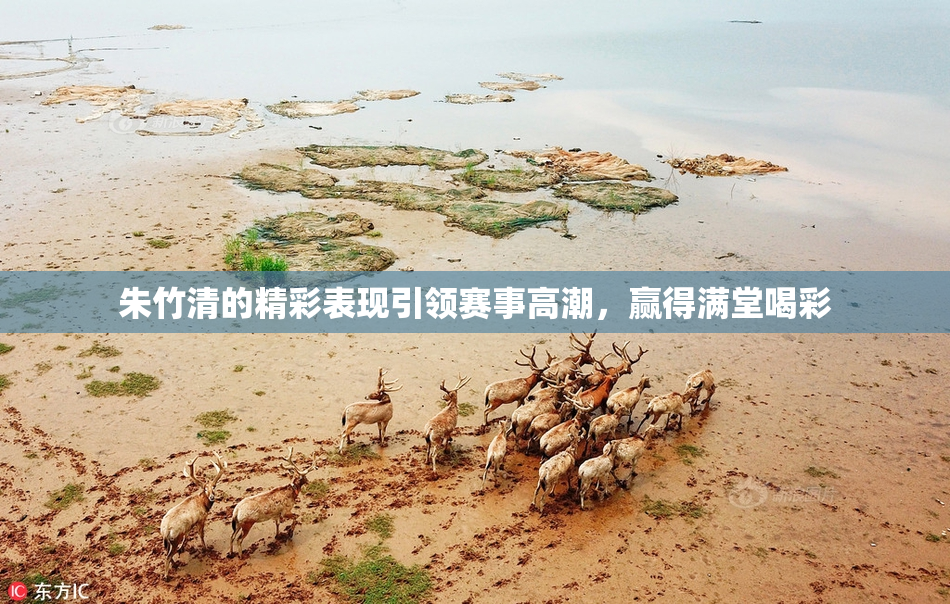 朱竹清的精彩表现引领赛事高潮，赢得满堂喝彩