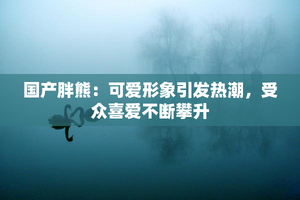 国产胖熊：可爱形象引发热潮，受众喜爱不断攀升