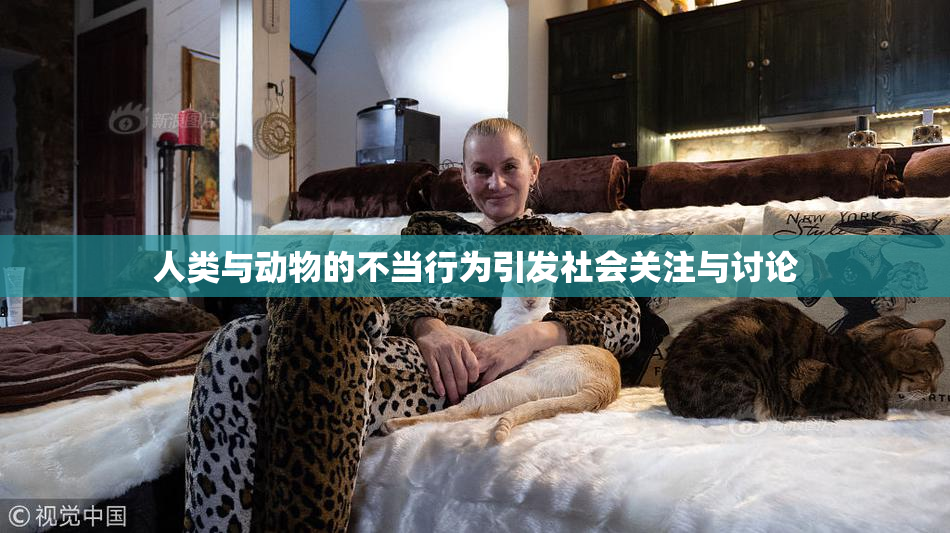 人类与动物的不当行为引发社会关注与讨论
