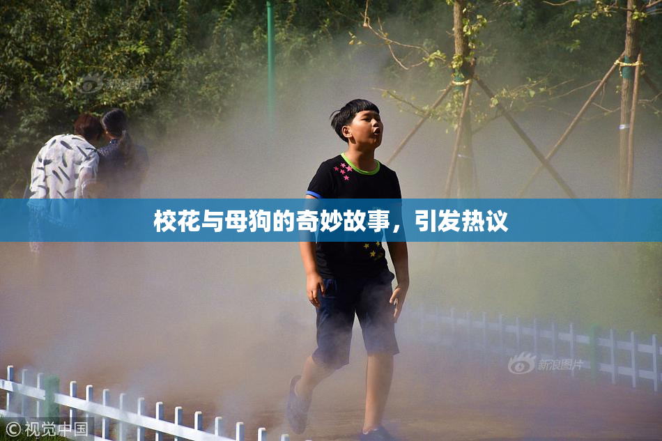 校花与母狗的奇妙故事，引发热议