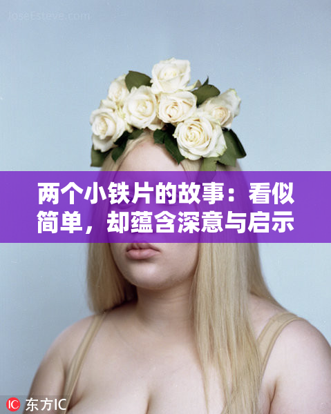 两个小铁片的故事：看似简单，却蕴含深意与启示