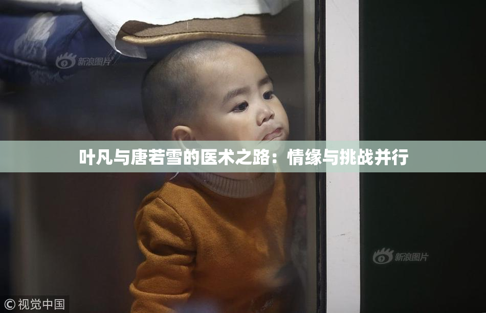 叶凡与唐若雪的医术之路：情缘与挑战并行