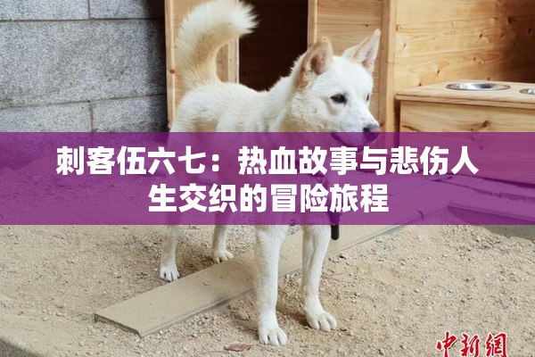 刺客伍六七：热血故事与悲伤人生交织的冒险旅程