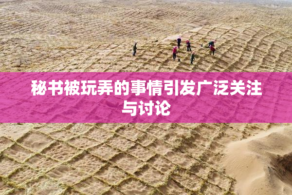 秘书被玩弄的事情引发广泛关注与讨论