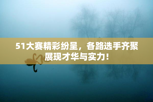 51大赛精彩纷呈，各路选手齐聚展现才华与实力！