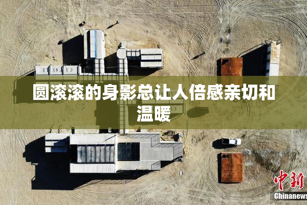 圆滚滚的身影总让人倍感亲切和温暖