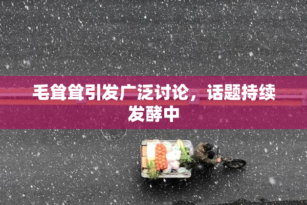 毛耸耸引发广泛讨论，话题持续发酵中