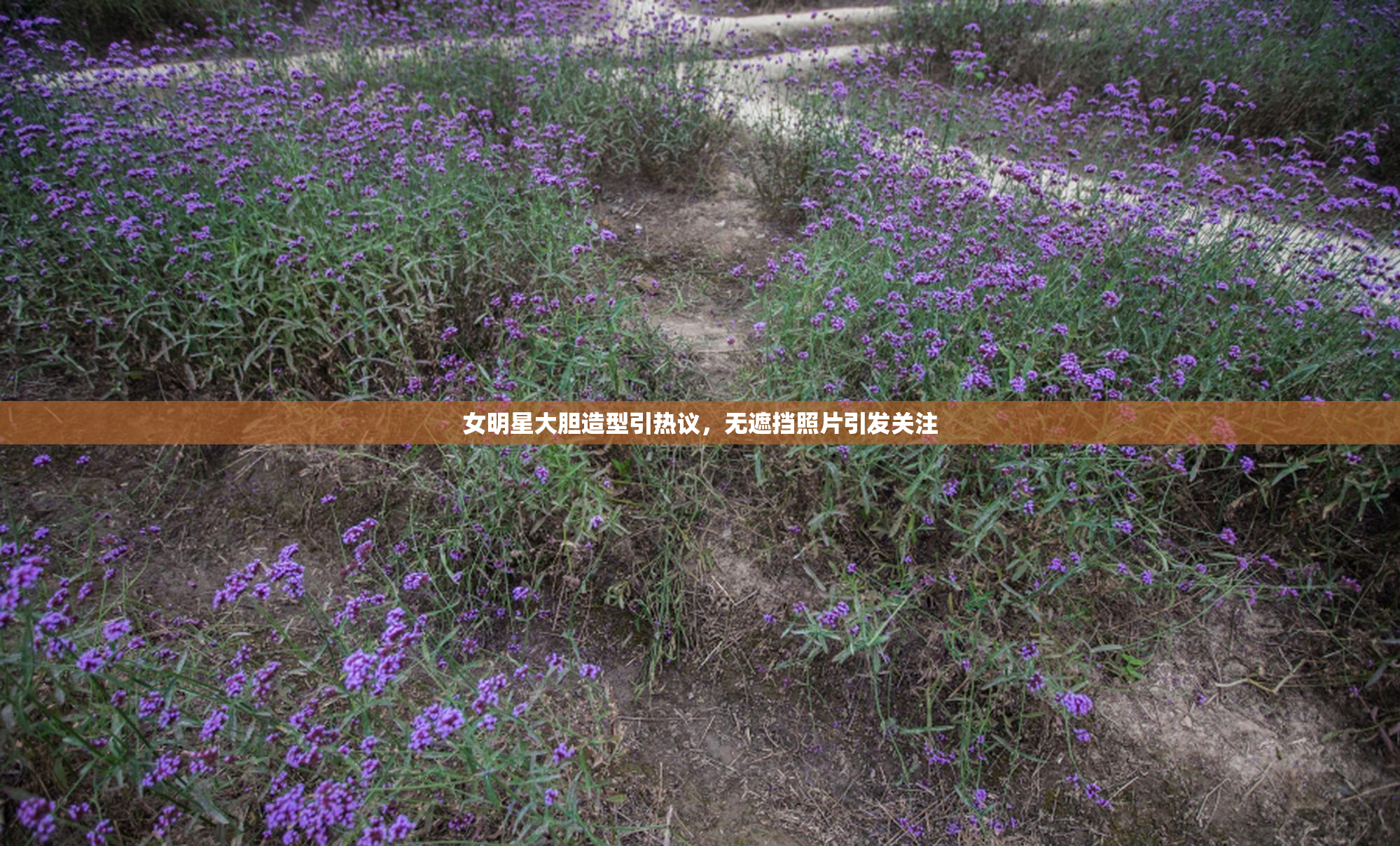女明星大胆造型引热议，无遮挡照片引发关注
