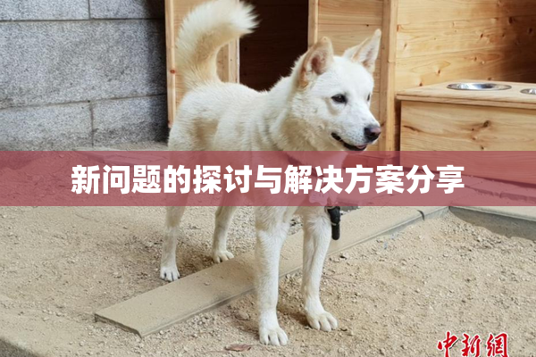 新问题的探讨与解决方案分享
