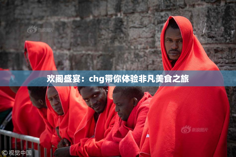 欢阁盛宴：chg带你体验非凡美食之旅