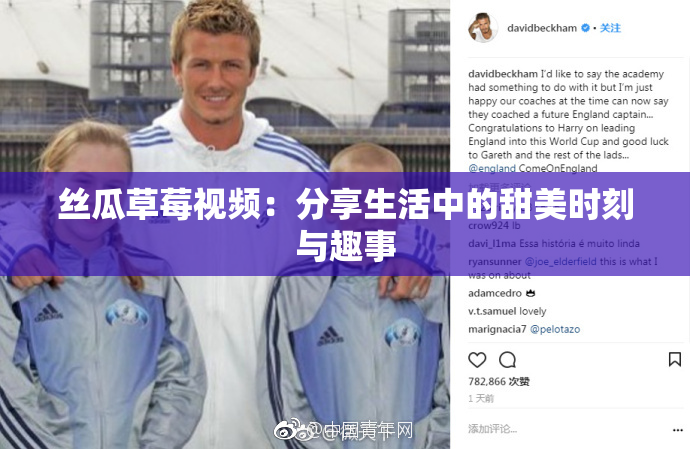 丝瓜草莓视频：分享生活中的甜美时刻与趣事