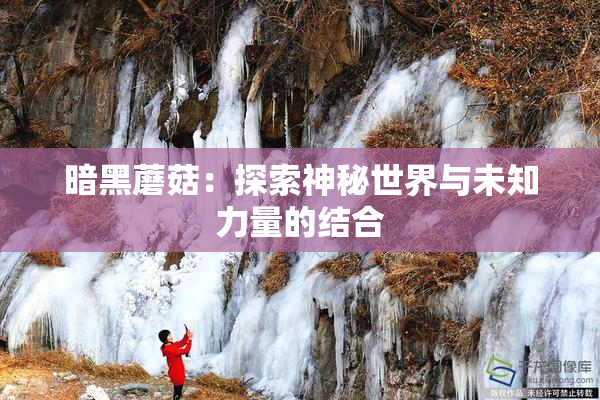 暗黑蘑菇：探索神秘世界与未知力量的结合