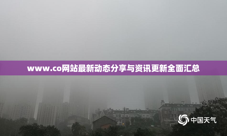 www.co网站最新动态分享与资讯更新全面汇总