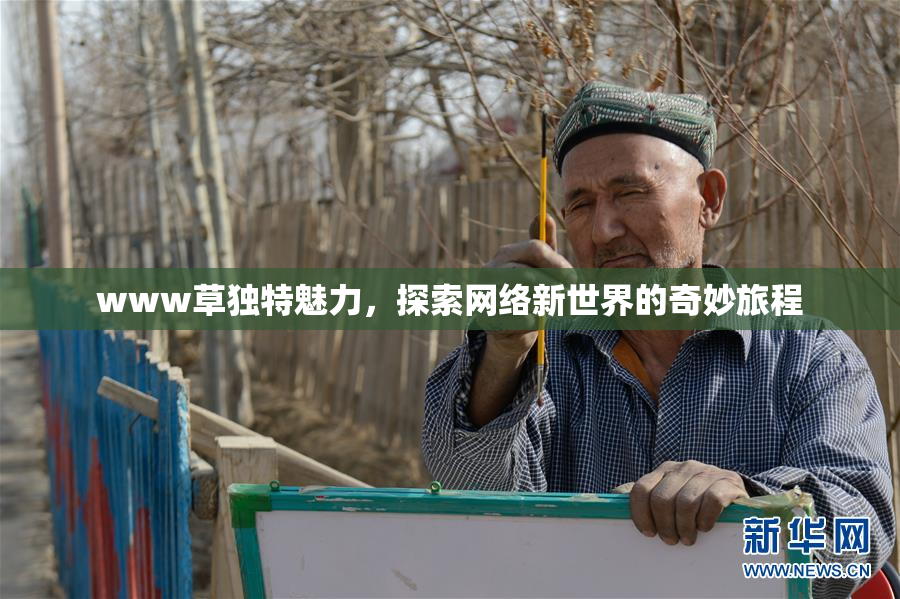 www草独特魅力，探索网络新世界的奇妙旅程