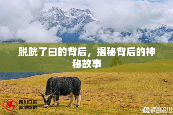 脱胱了曰的背后，揭秘背后的神秘故事