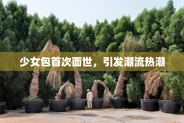 少女包首次面世，引发潮流热潮