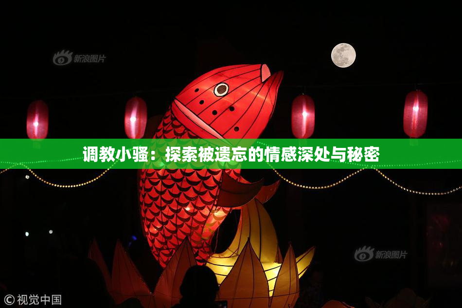 调教小骚：探索被遗忘的情感深处与秘密