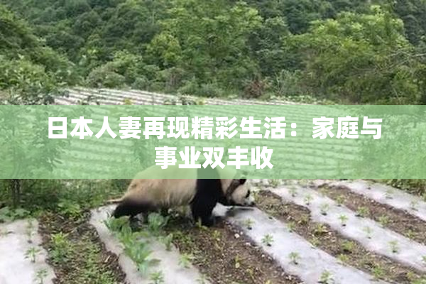 日本人妻再现精彩生活：家庭与事业双丰收