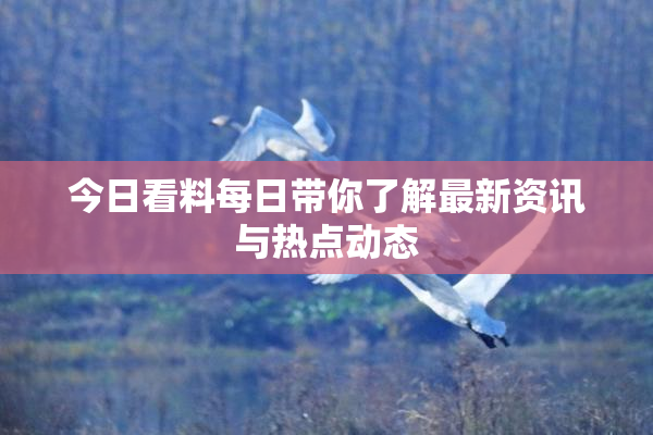今日看料每日带你了解最新资讯与热点动态