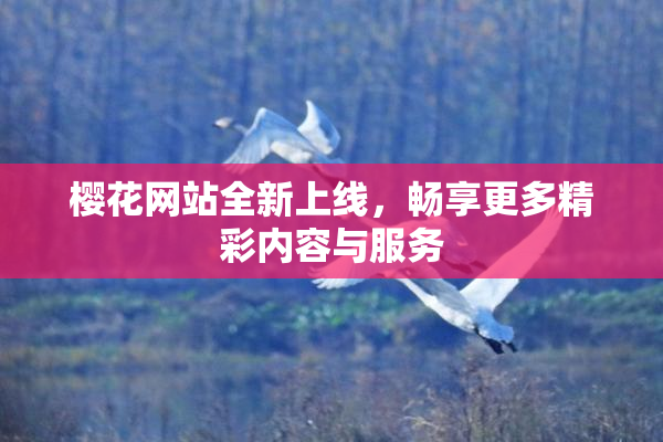 樱花网站全新上线，畅享更多精彩内容与服务