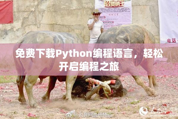 免费下载Python编程语言，轻松开启编程之旅
