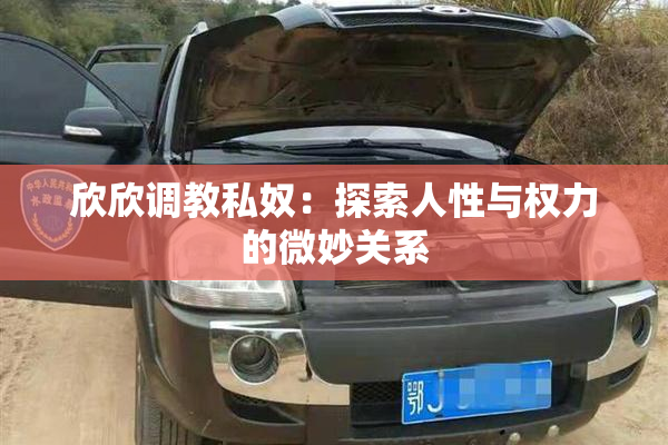欣欣调教私奴：探索人性与权力的微妙关系