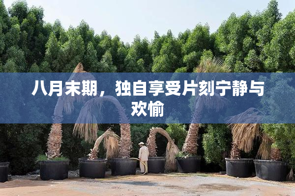 八月末期，独自享受片刻宁静与欢愉