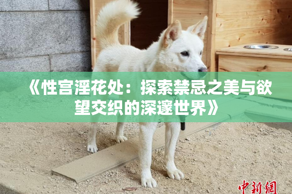 《性宫淫花处：探索禁忌之美与欲望交织的深邃世界》