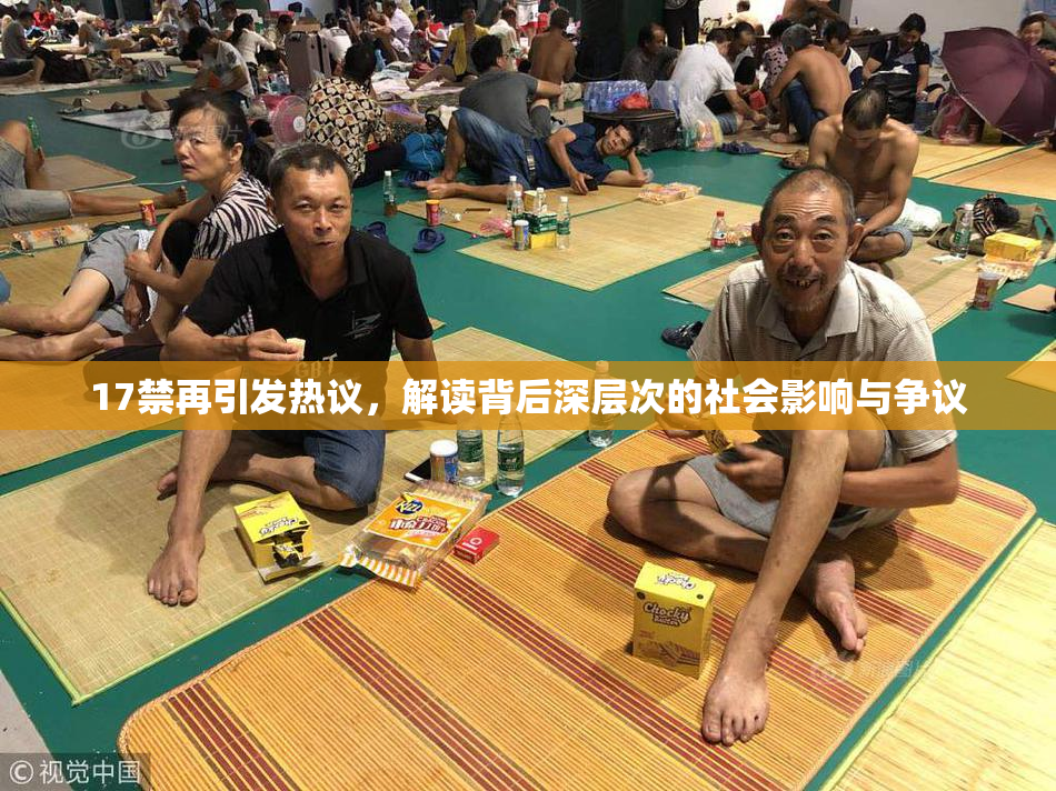17禁再引发热议，解读背后深层次的社会影响与争议