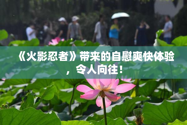 《火影忍者》带来的自慰爽快体验，令人向往！