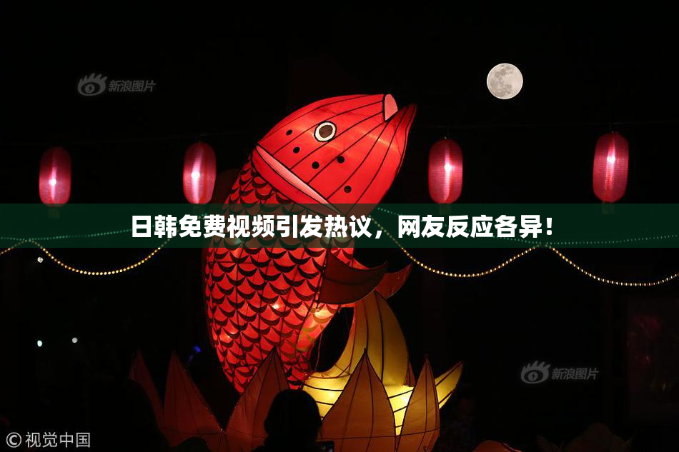 日韩免费视频引发热议，网友反应各异！