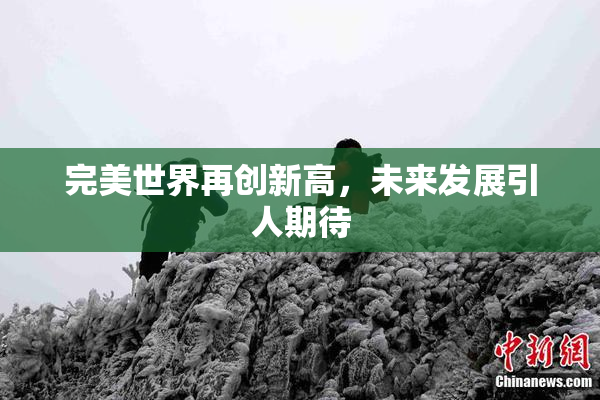 完美世界再创新高，未来发展引人期待