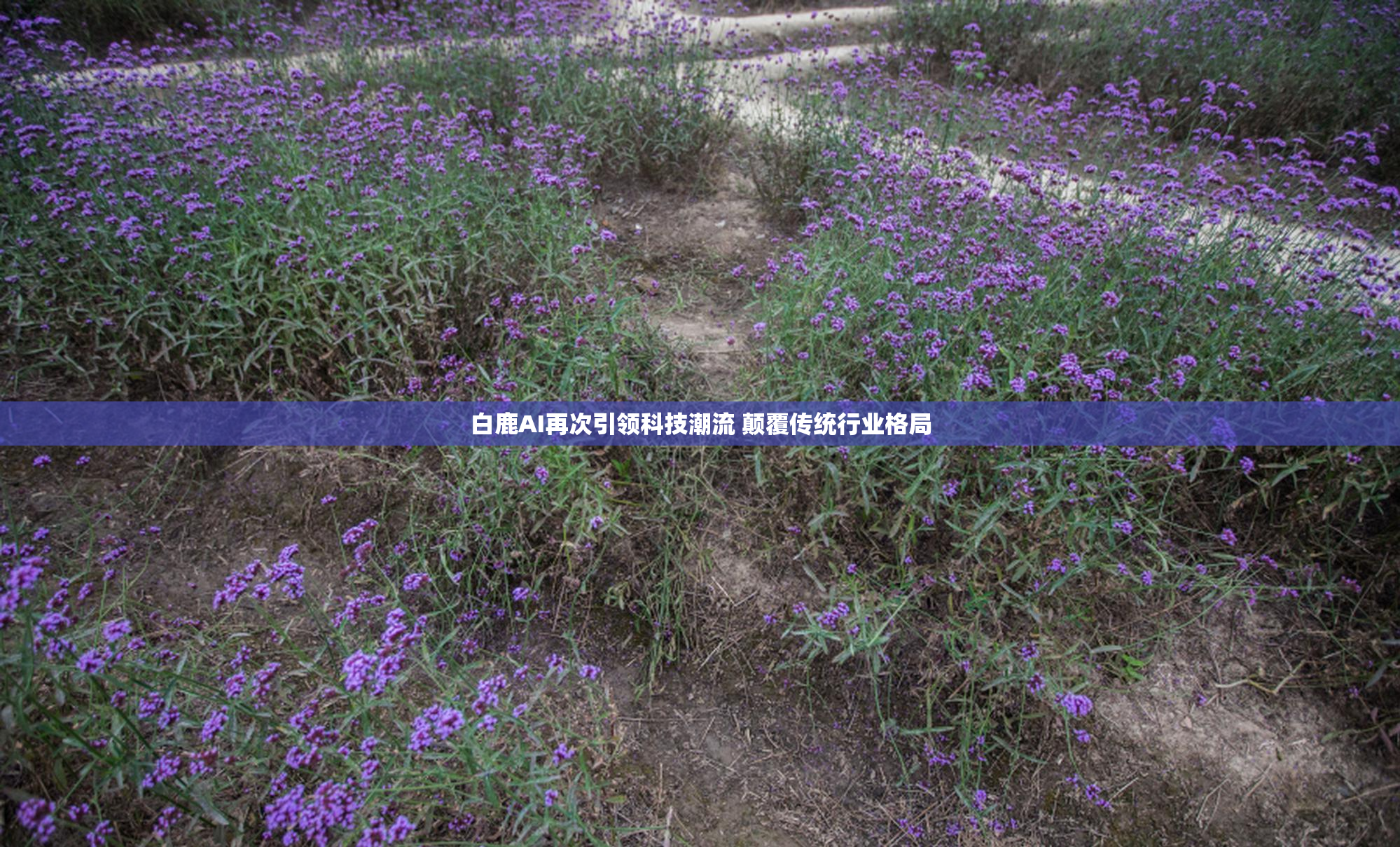 白鹿AI再次引领科技潮流 颠覆传统行业格局
