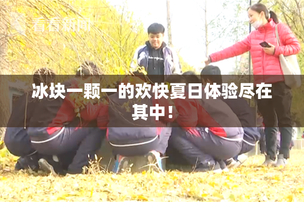 冰块一颗一的欢快夏日体验尽在其中！