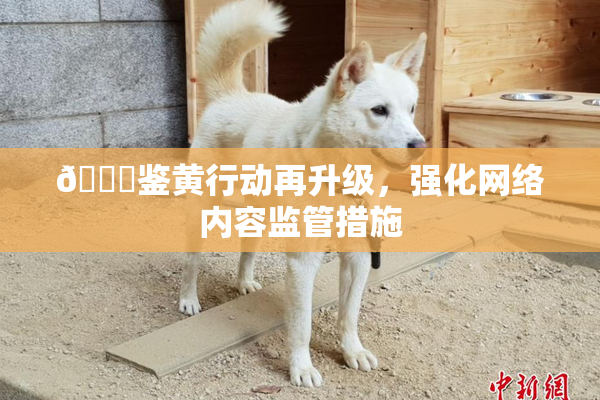 🔞鉴黄行动再升级，强化网络内容监管措施