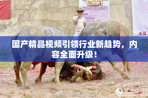 国产精品视频引领行业新趋势，内容全面升级！