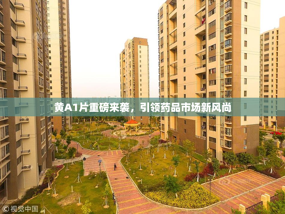 黄A1片重磅来袭，引领药品市场新风尚