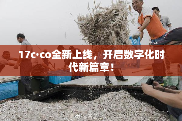 17c·co全新上线，开启数字化时代新篇章！