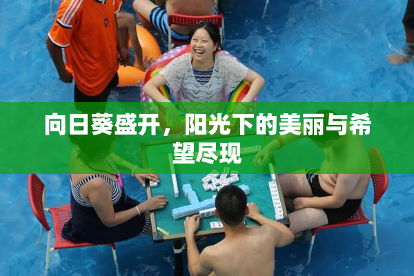 向日葵盛开，阳光下的美丽与希望尽现
