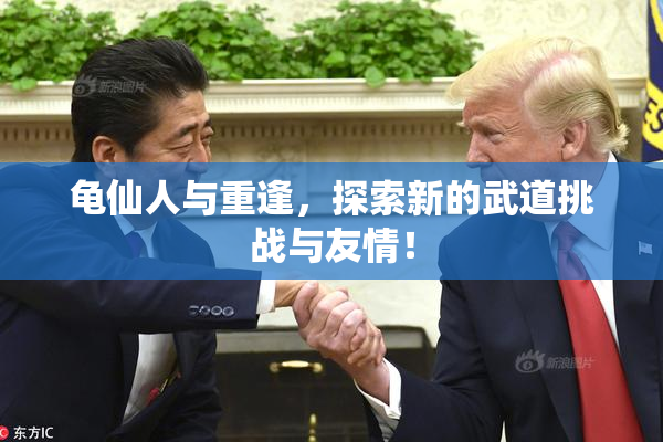 龟仙人与重逢，探索新的武道挑战与友情！