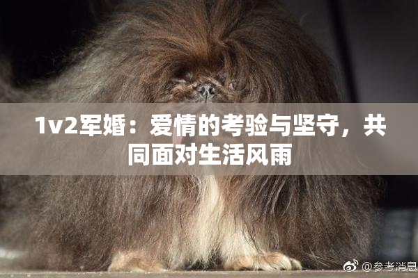 1v2军婚：爱情的考验与坚守，共同面对生活风雨