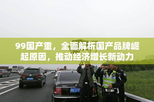 99国产重，全面解析国产品牌崛起原因，推动经济增长新动力