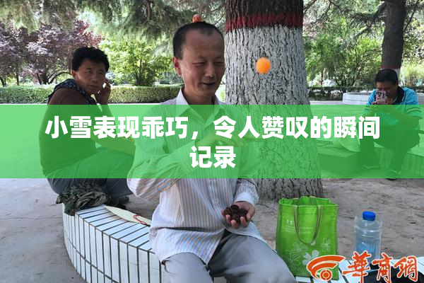 小雪表现乖巧，令人赞叹的瞬间记录